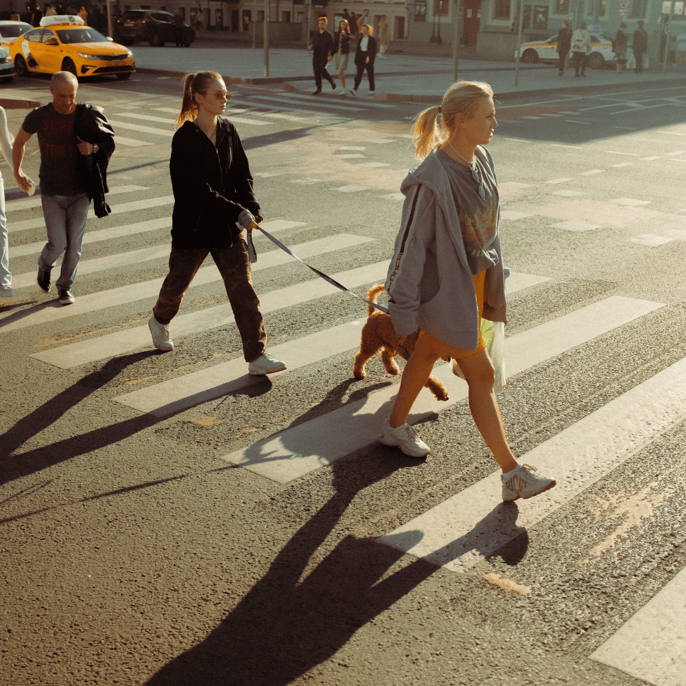 Qi Men Dun Jia - L'art du timing stratégique